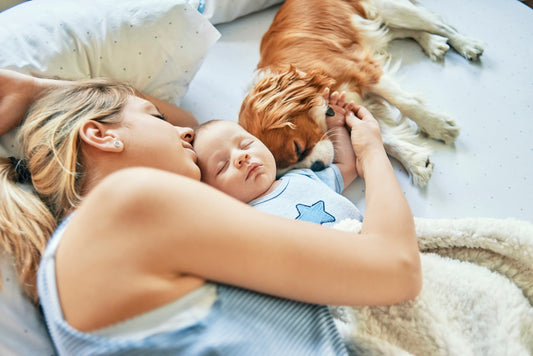 Mother sleeping with dog and baby
